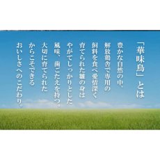 画像3: 【海外発送可】博多華味鳥チキンキーマカレー 150g (3)