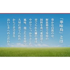 画像3: 【海外発送可】博多華味鳥監修 キーマカレーとささみ入りカレー2種計6食セット (3)