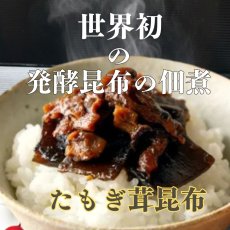 画像1: 発酵 たもぎ茸 昆布 佃煮 120g (1)
