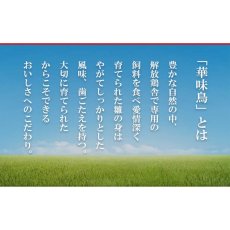 画像3: 【海外発送可】博多華味鳥 ささみ入りチキンカレー 中辛 200g　レトルト 水炊き料亭 華味鳥監修 常温保存 (3)