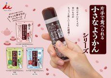 画像4: 片手で食べられる小さなようかん 塩 (4)