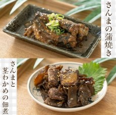画像4: レンチン5分の和と洋惣菜25種レトルト食品 お惣菜詰め合わせセット (4)