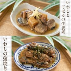 画像6: レンチン5分の和と洋惣菜25種レトルト食品 お惣菜詰め合わせセット (6)