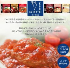 画像3: 高タンパク・無添加 和食&洋食おかず 惣菜 20種40食セット (3)