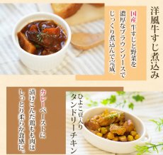 画像6: レトルト 肉系おかず11種計22食詰め合わせセット (6)