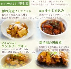画像6: 肉 魚 野菜おかずと洋食総菜18種セット (6)
