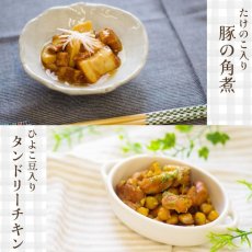 画像10: レンチン5分の和と洋惣菜25種レトルト食品 お惣菜詰め合わせセット (10)