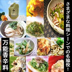 日本のそば・うどん発売開始！