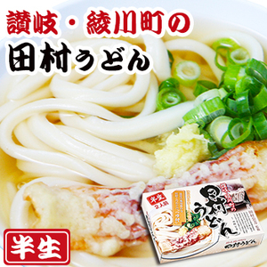 Photo1: 讃岐うどん　田村うどん 2食入（半生麺、箱） (1)