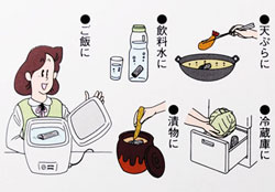 調理用 備長炭4本入り 美味しい料理 ご飯 水には 日本食品の海外発送専門店 三田天喜堂 備長炭商品 調理用 備長炭4本入り 美味しい料理 ご飯 水には 日本食品の海外発送専門店 三田天喜堂 備長炭商品