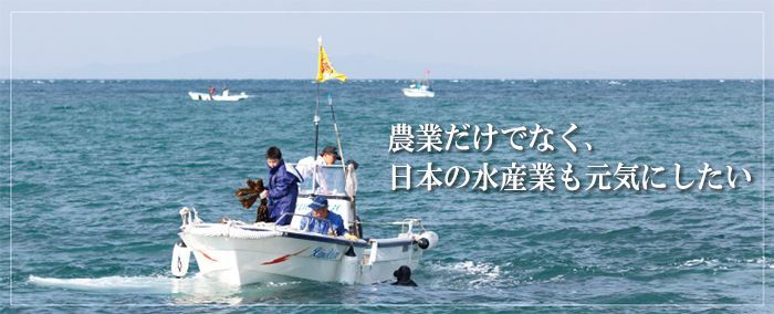 天然わかめスープ