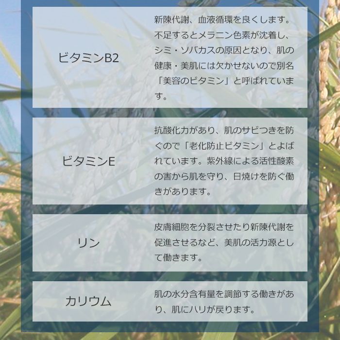 米ぬか酵素洗顔クレンジング